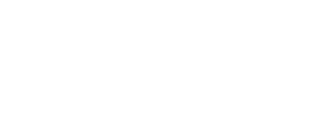 Vision of a New America